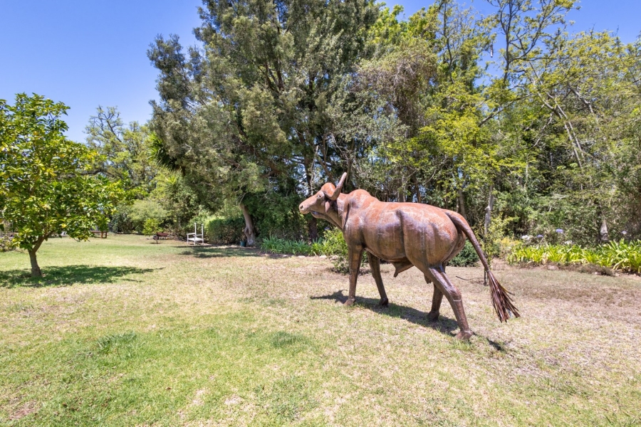 Commercial Property for Sale in Wittedrift Western Cape